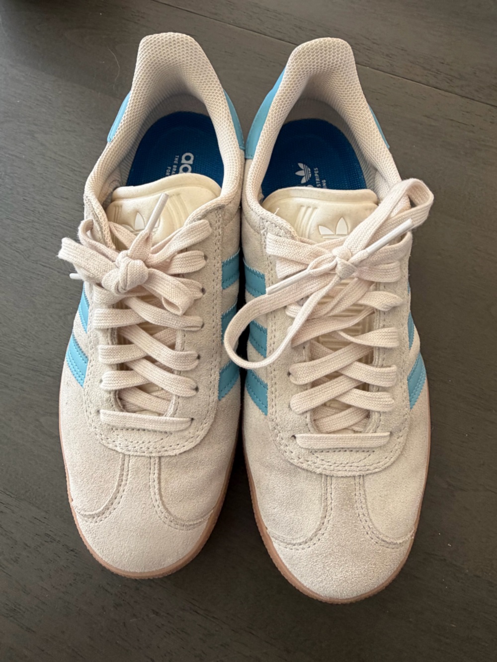 Adidas Gazelle ADV Shoes